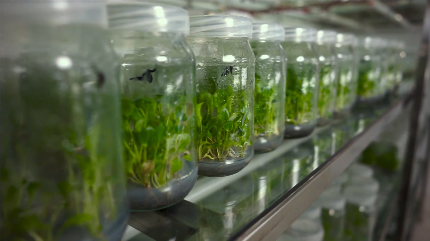 Desktop publishing software like Aldus PageMaker including versions of Lorem Ipsum​